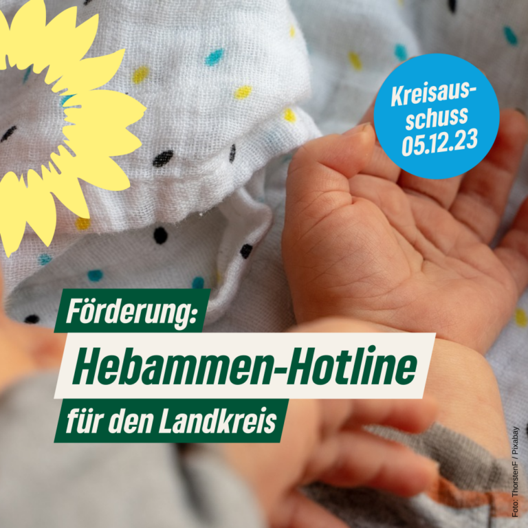 Hebammen-Hotline